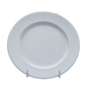 Dinner Plate 10_1
