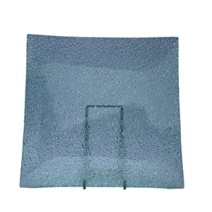 Glass Plate 11